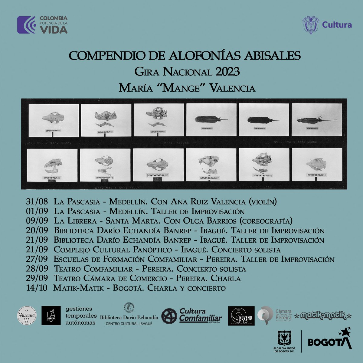 La Distritofonica tweet media