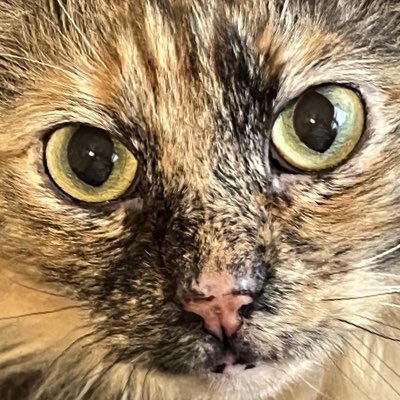 heavymetalmusic's tweet photo. #NewProfilePic https://t.co/nWpn5JCnCY