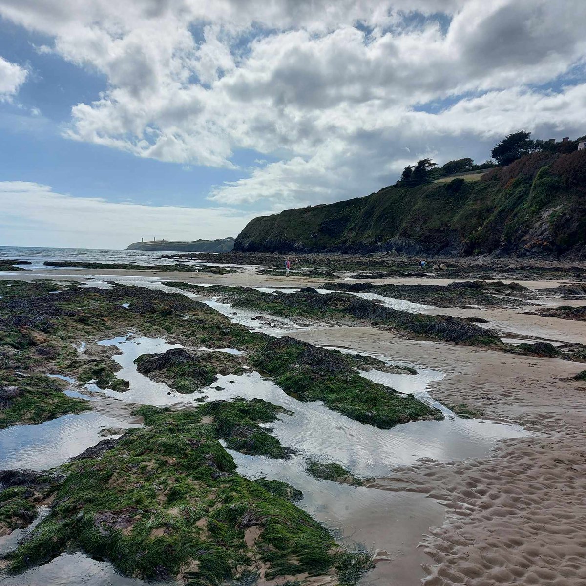 I have #BorderlinePersonalityDisorder #BPD this is my first blog on it. "Diagnosis". I am sharing this journey to break the stigma and open up, indeed to knock apart my own stigma around it. 
#mentalhealth #psychology
neil-gerardfox.blogspot.com/2023/08/i-have…