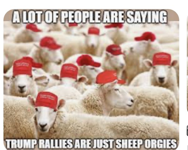 Anthony Osling tweet media