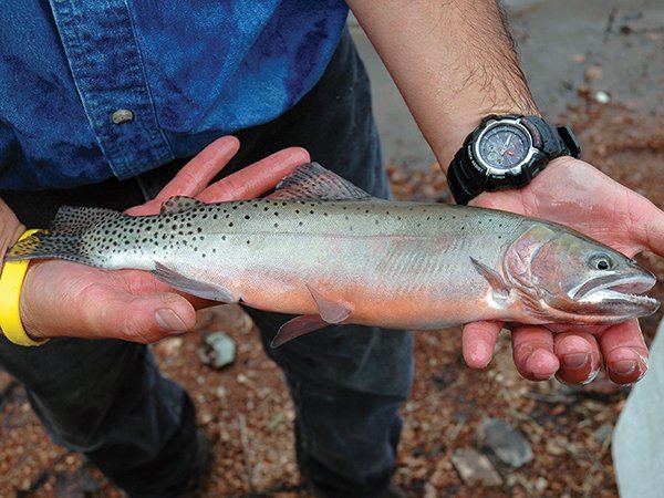 NM Game and Fish tweet media