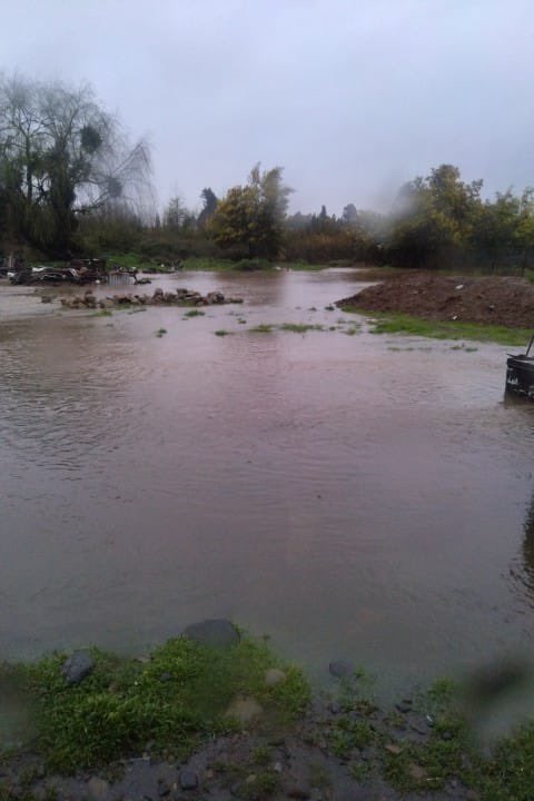 Robertal3jandro's tweet photo. Necesitamos ayuda en el sector providencia y el Carmen en el norte de Talca , caminos con socavones y con agua sin permitir el acceso y salida del lugar.
Adultos mayores que necesitan asistencia . @IMTalca @Senapred #sistemafrontal #regiondelmaule #talca #providenciatalca https://t.co/DXPQKZJEEd