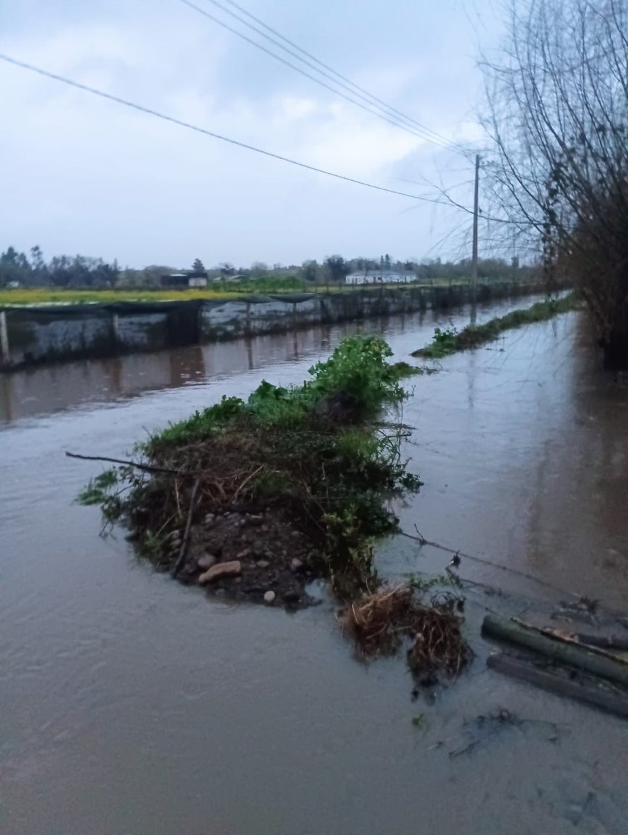 Robertal3jandro's tweet photo. Necesitamos ayuda en el sector providencia y el Carmen en el norte de Talca , caminos con socavones y con agua sin permitir el acceso y salida del lugar.
Adultos mayores que necesitan asistencia . @IMTalca @Senapred #sistemafrontal #regiondelmaule #talca #providenciatalca https://t.co/DXPQKZJEEd