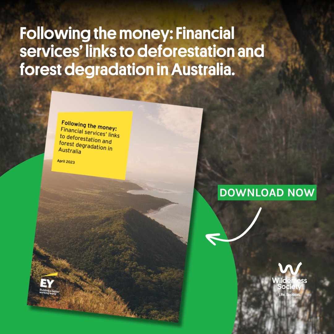 Did you miss the Following The Money Report launch at #IGCCSummit2023? Download it today for guidance on how to prepare for the inevitable shift to a more sustainable👇  
wilderness.org.au/-follow-the-mo…