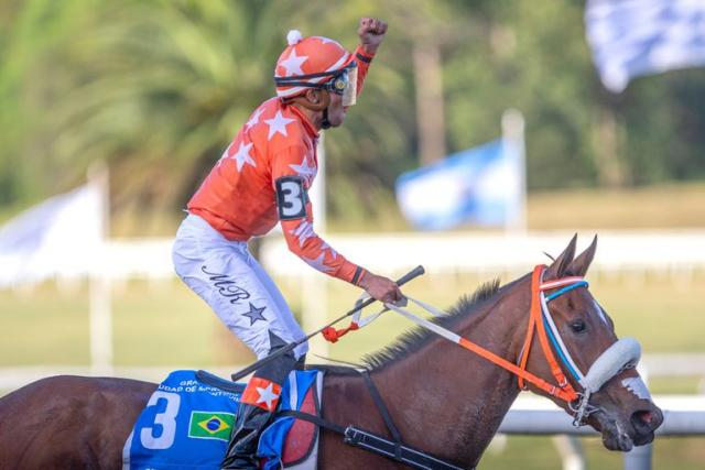 Turf_URU's tweet photo. Queen Of Clubs es una yegua extraordinaria.

En Brasil obtuvo 9 triunfos en 12 presentaciones, incluyendo varios clásicos. 

En Uruguay, lleva 3 victorias clásicas sobre 5 salidas a pista, incluyendo un G1 y G3.

Ganadora de 12 carreras y varios clásicos, yegua crack. https://t.co/UbO6njHahT