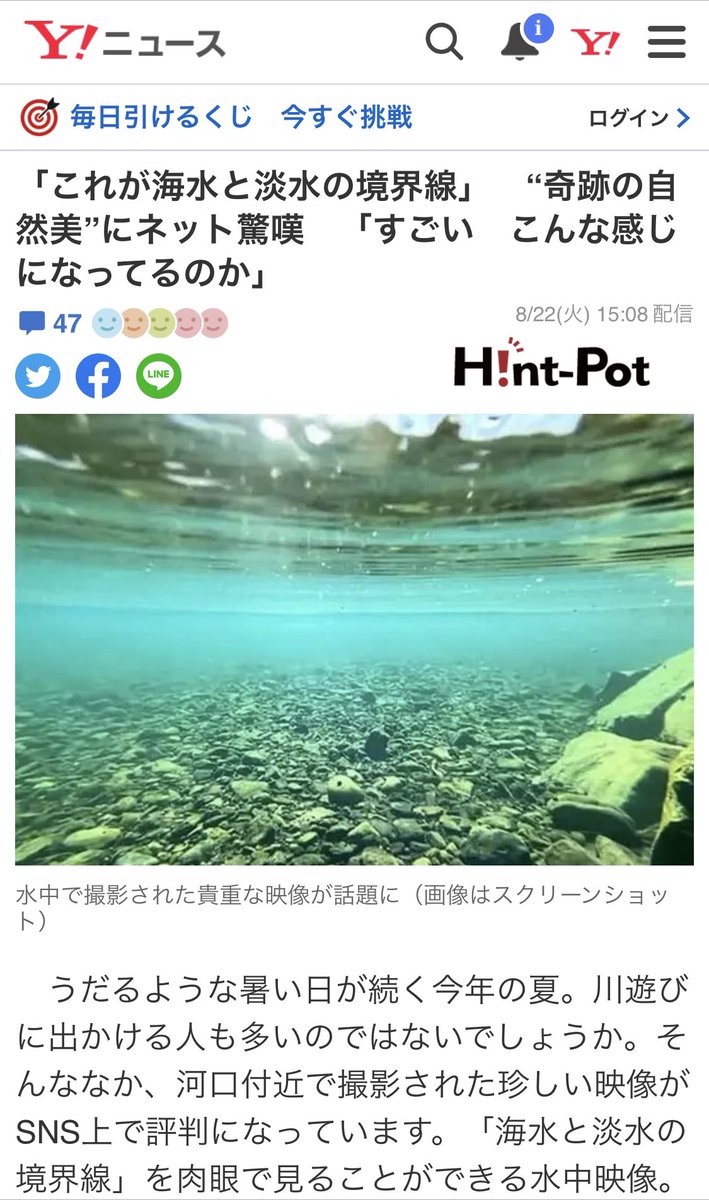 Carex_minima's tweet photo. 先日の淡水と海水の境界面のツイートを、Yahooニュースに取り上げていただきました。

撮影時の様子など、取材にお答えしてますので、宜しければご覧下さい。

あとできれば、つくし先生に感想聞きたいな・・・

https://t.co/op81NLHNTX @tukushiA @Hint_Pot https://t.co/omhbYRz7N2