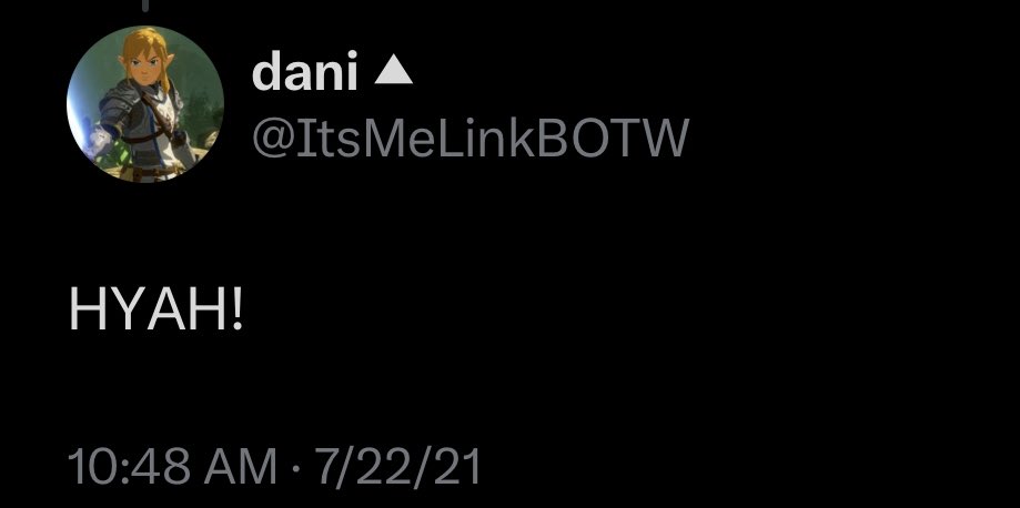 ItsMeLinkBOTW's tweet photo. 2 years ago that was all i tweeted https://t.co/DSW0xfY2IY