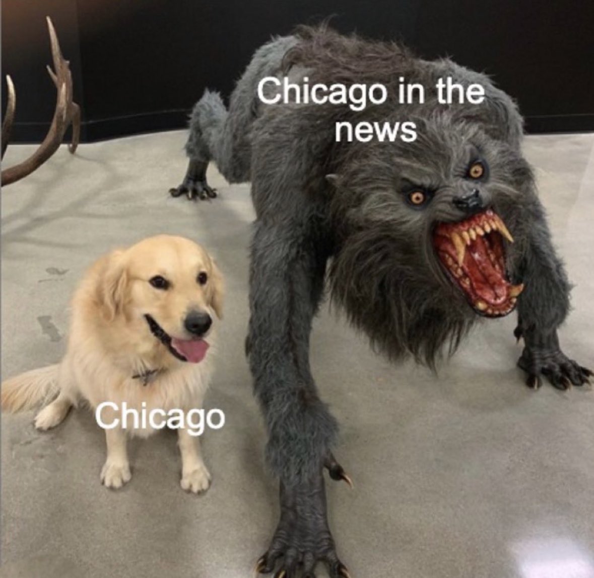 BVAX84's tweet photo. Look….. #chicago #youdontlivehere https://t.co/wd1l3OdJLz