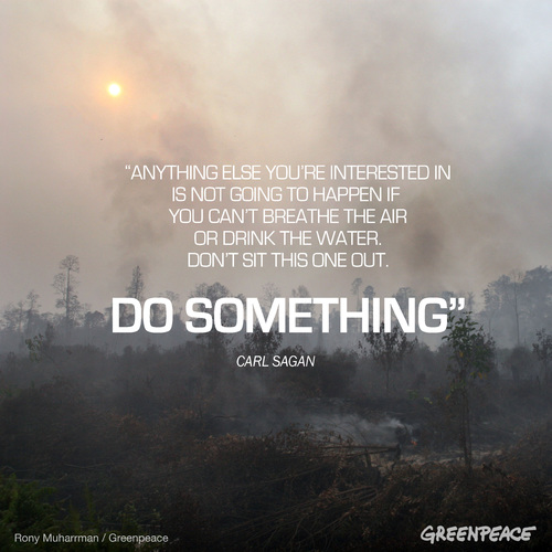 Greenpeace's tweet photo. Don’t. Sit. This. One. Out. 
Let’s keep the pressure on. Governments, corporations - how much more destruction and devastation do you need to see before we see meaningful #ClimateAction? https://t.co/O2Fvf90sJj