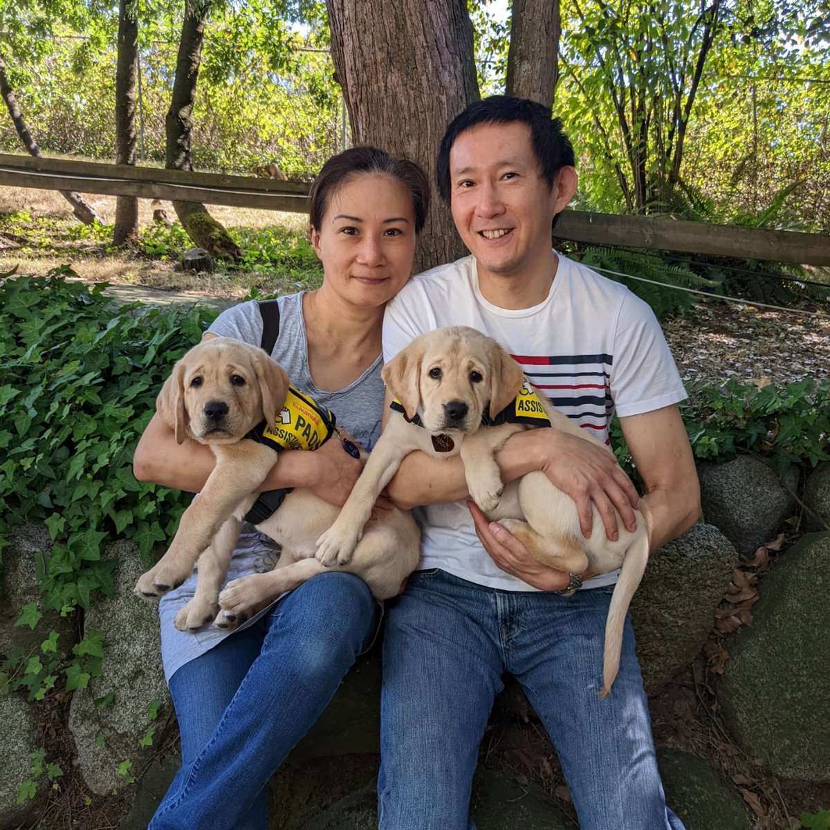 The UNESCO Heritage Site litter are now making history as Puppies-In-Training! 💗Taj met Annika ❤️Rila will be meeting new friends at Can Do Canines in New Hope, Minnesota 💚Petra will soon travel to Alberta to meet Amy and Andrew