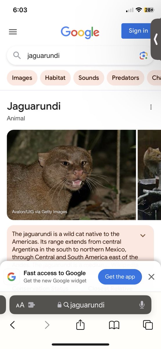 themployed's tweet photo. look at this dude…. this is a fuckibg weasel https://t.co/wUYD72DF95
