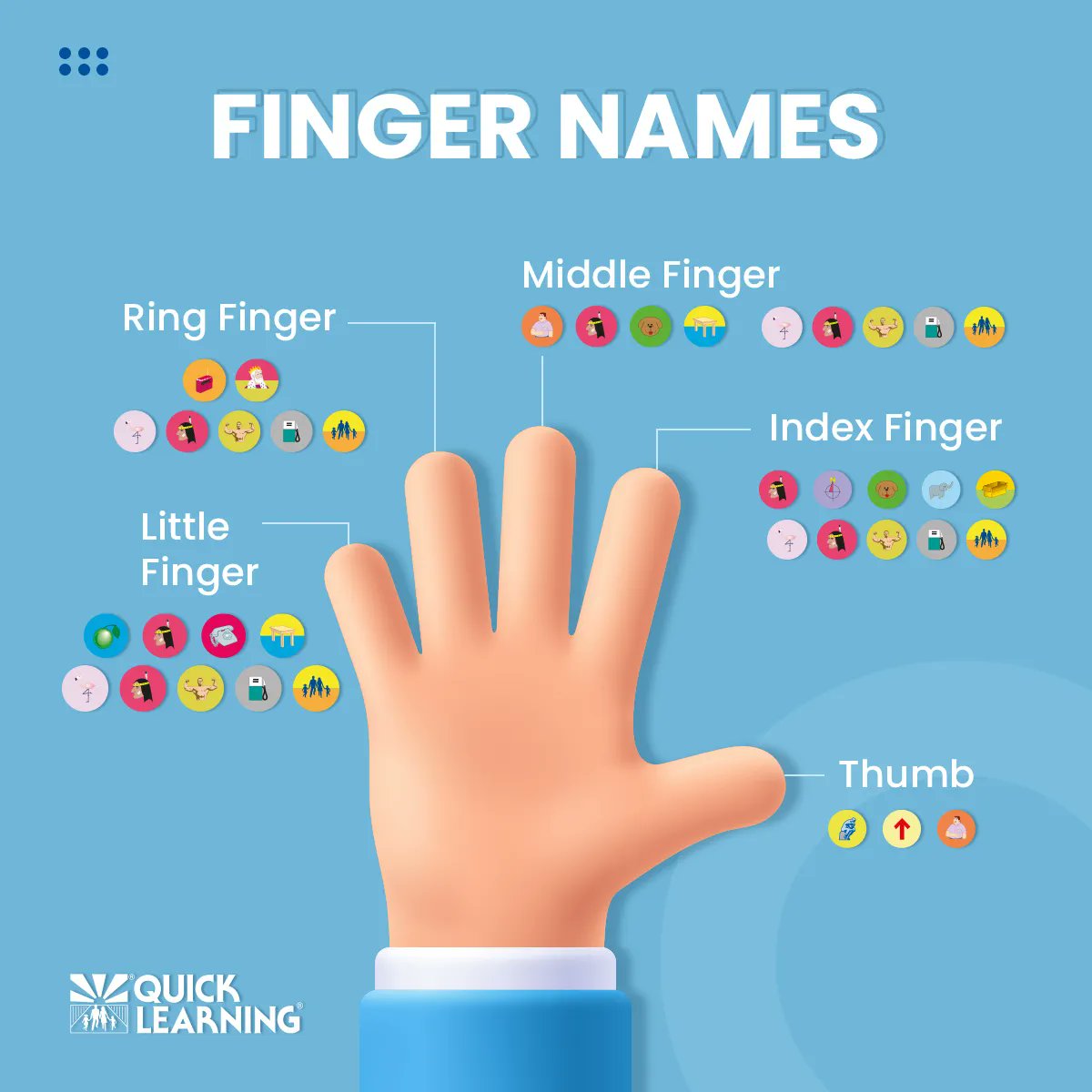 QuickLearning's tweet image. Do you happen to know the names of the fingers? 
#QuickLearning #FingerNames #English