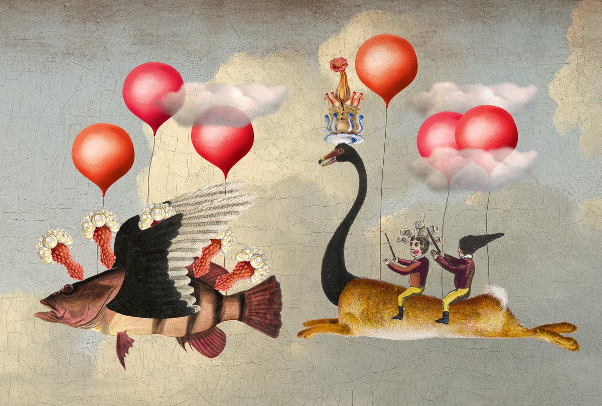 Varvara Alay tweet media