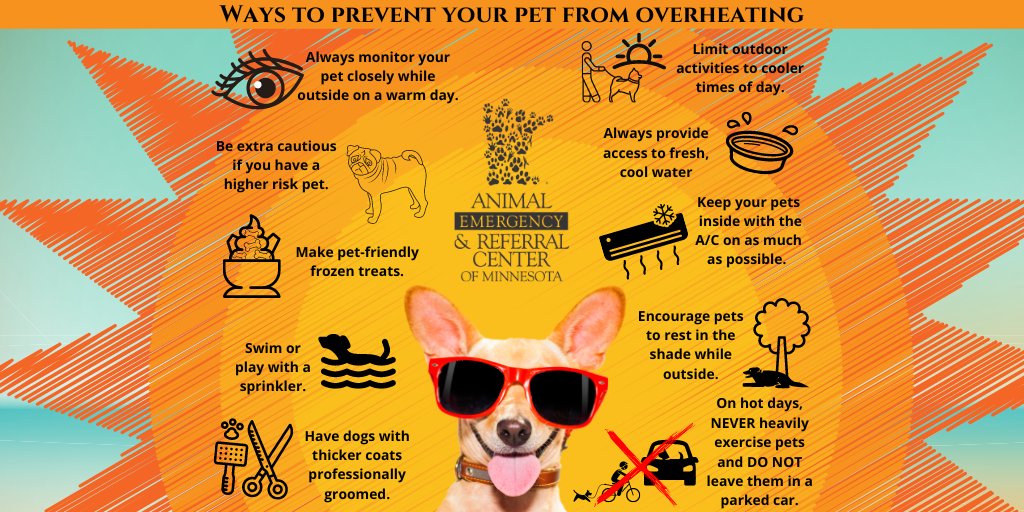 Here are a few tips to keep your #pets cool today!
Learn more here: aercmn.com/summer-heat-ri…
#heatkills #petsafety #vetmed