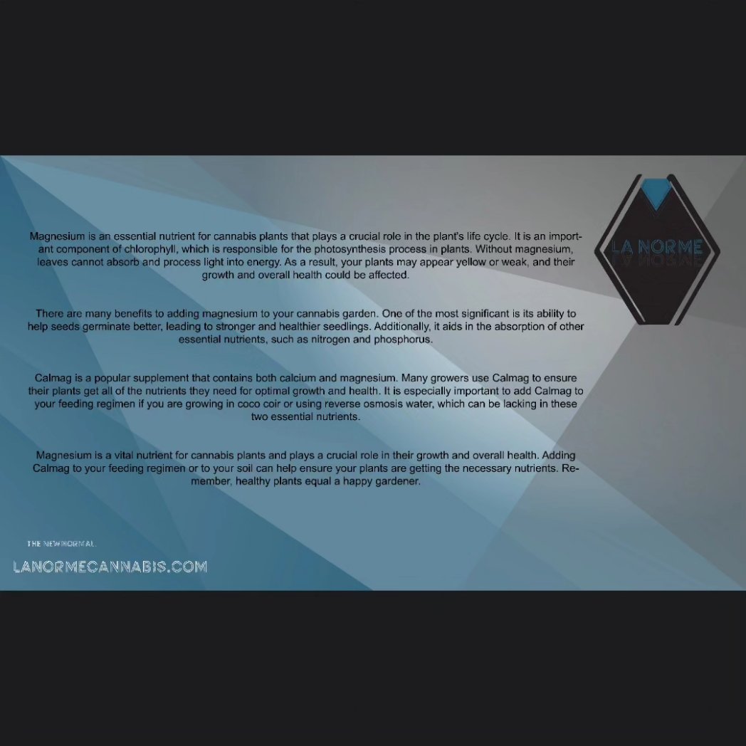 LaNormeCannabis's tweet photo. Magnesium problems?
Full article on @SubmarineHippie and https://t.co/lCNP3CE403
#magnesium #magnesiumissues #montanamade #montanamovement #montanagrown #lanormecannabis #linkinbio #articletime https://t.co/17cAz1iwX9