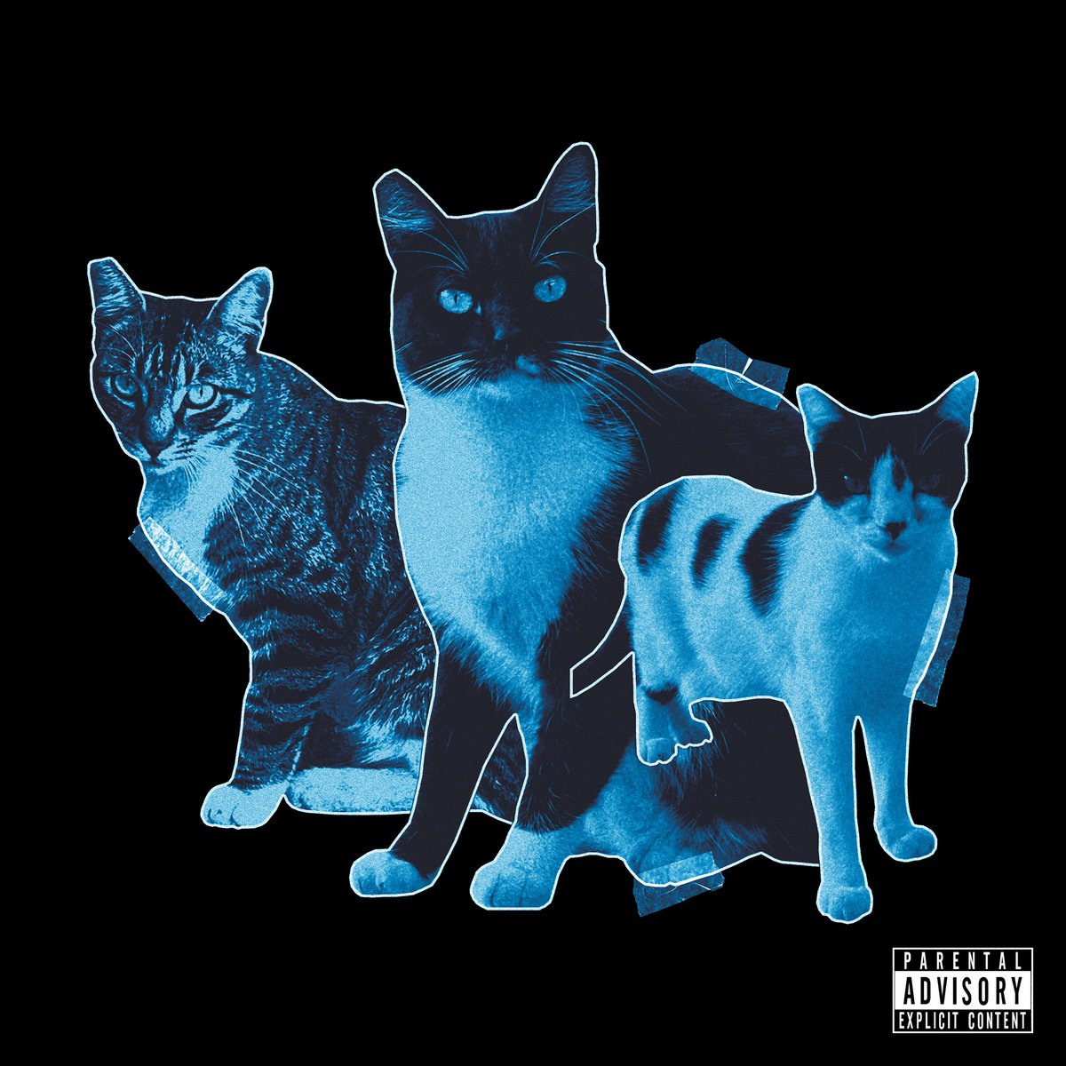 tobilou's tweet photo. which cover we going with for ‘Caturday’ this week? https://t.co/CwYfzybVQ9