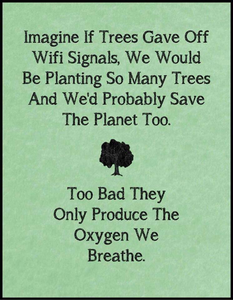 Tree Plantation (@TreePlantations) on Twitter photo 2023-08-22 18:46:26