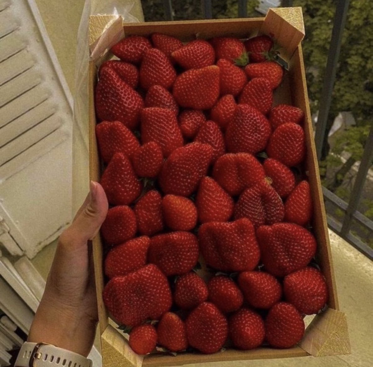 meu amor