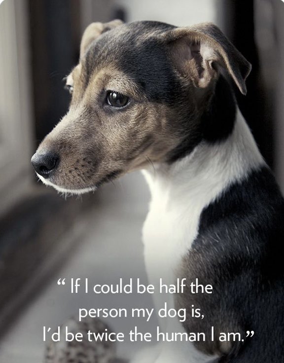 Real Ruth Yates tweet media