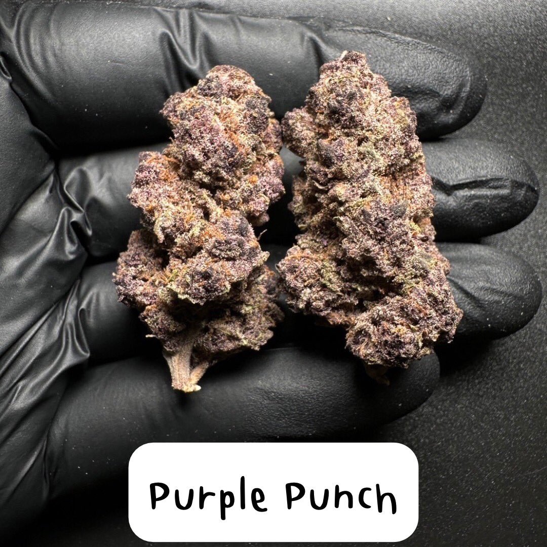 smokeweedinTH's tweet photo. Apple and Bananas
THC 23%
Happy,Anxiety
West coast OG
THC 21%
Sleepy,Fun high
Cookies gelato
THC 17% CBG 1%
Focused,Relaxed
Purple punch
THC18%
Hungry,Sleepy
#กัญชา #เห็ดเมา #กัญชาออแกนิค #กัญชาอัดแท่ง #BKKweed #Thaiweed #GanjaThai #สายเขียว #acidtabs #MDMA #Molly #สายตี้ https://t.co/vcv7X7wwOJ