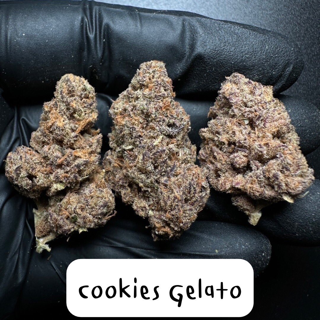 smokeweedinTH's tweet photo. Apple and Bananas
THC 23%
Happy,Anxiety
West coast OG
THC 21%
Sleepy,Fun high
Cookies gelato
THC 17% CBG 1%
Focused,Relaxed
Purple punch
THC18%
Hungry,Sleepy
#กัญชา #เห็ดเมา #กัญชาออแกนิค #กัญชาอัดแท่ง #BKKweed #Thaiweed #GanjaThai #สายเขียว #acidtabs #MDMA #Molly #สายตี้ https://t.co/vcv7X7wwOJ
