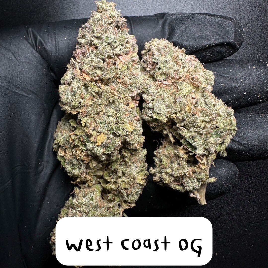 smokeweedinTH's tweet photo. Apple and Bananas
THC 23%
Happy,Anxiety
West coast OG
THC 21%
Sleepy,Fun high
Cookies gelato
THC 17% CBG 1%
Focused,Relaxed
Purple punch
THC18%
Hungry,Sleepy
#กัญชา #เห็ดเมา #กัญชาออแกนิค #กัญชาอัดแท่ง #BKKweed #Thaiweed #GanjaThai #สายเขียว #acidtabs #MDMA #Molly #สายตี้ https://t.co/vcv7X7wwOJ