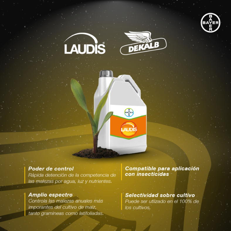 Agro Bayer tweet media