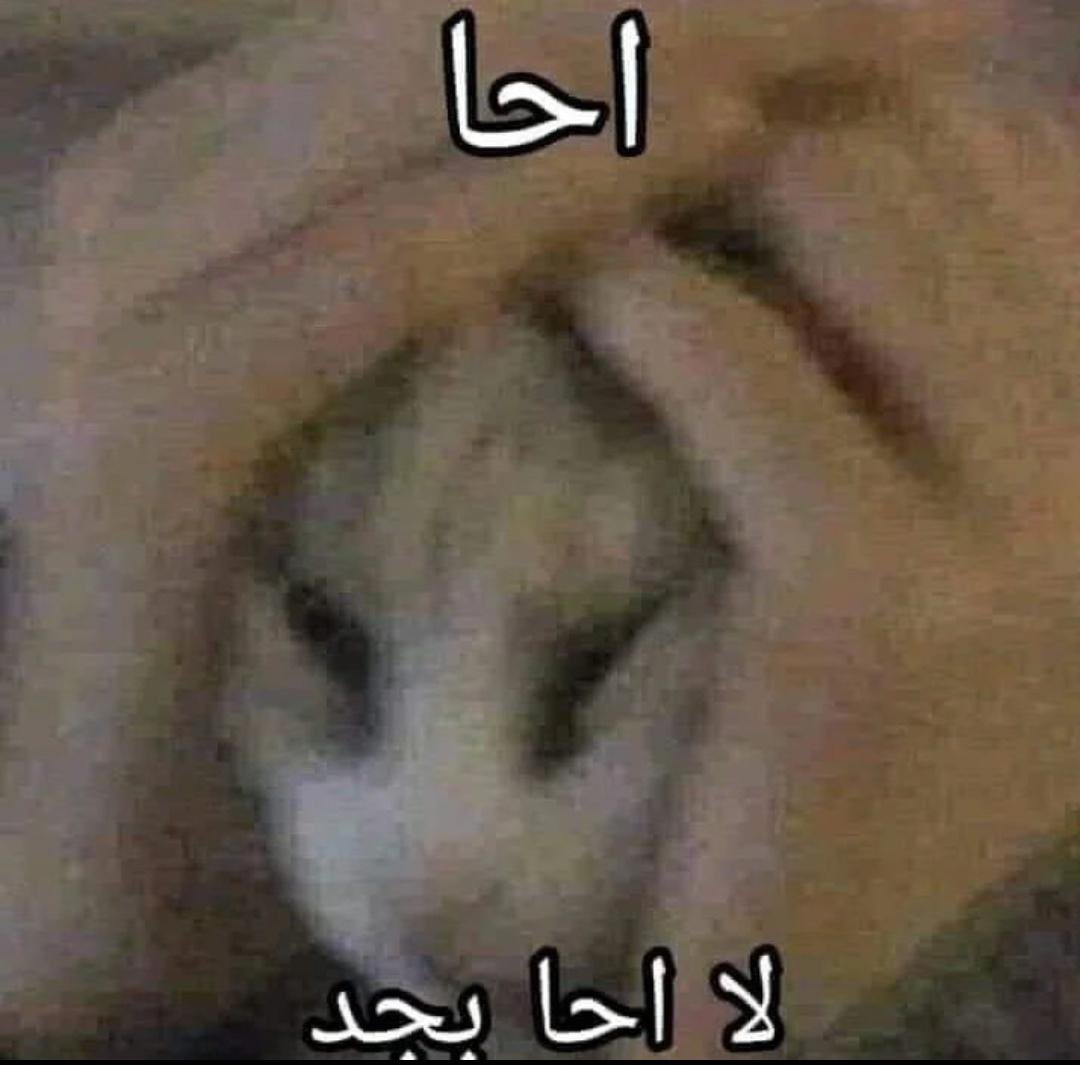 لحظات الإدراك