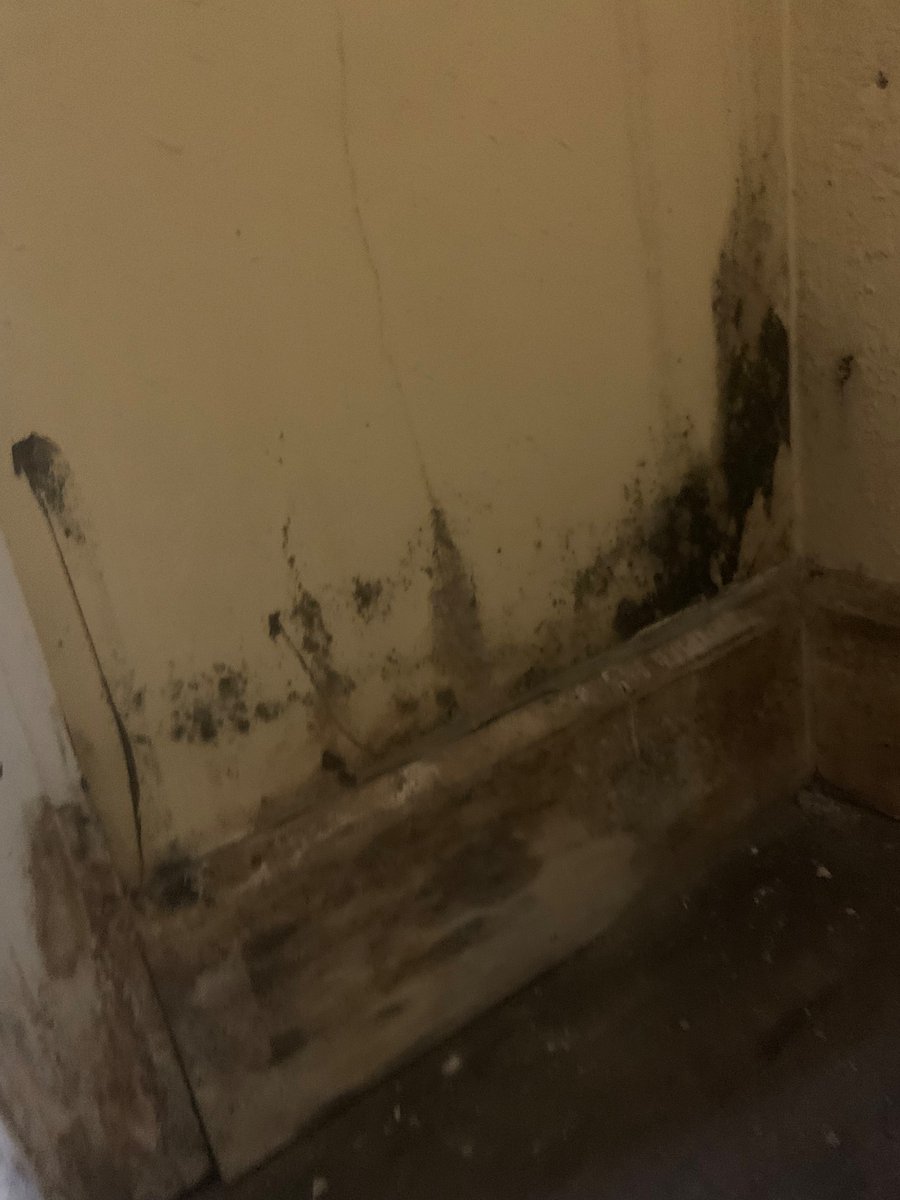 BellaPrincipesa's tweet photo. @WyndhamHotels @hotelsdotcom  just wondering how this is acceptable to you and how your hotel would not change rooms or issue a refund.  Black mold is acceptable? https://t.co/qHsR1rk25r