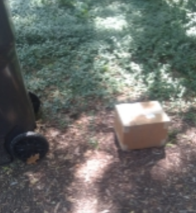DrFrankeni's tweet photo. @UPS  So this is really you putting a cardboard box on the ground at the end of the driveway right next to the trash.  So when I get home and there is no box, are you going to the dump to find it? https://t.co/tdFjdfoALk