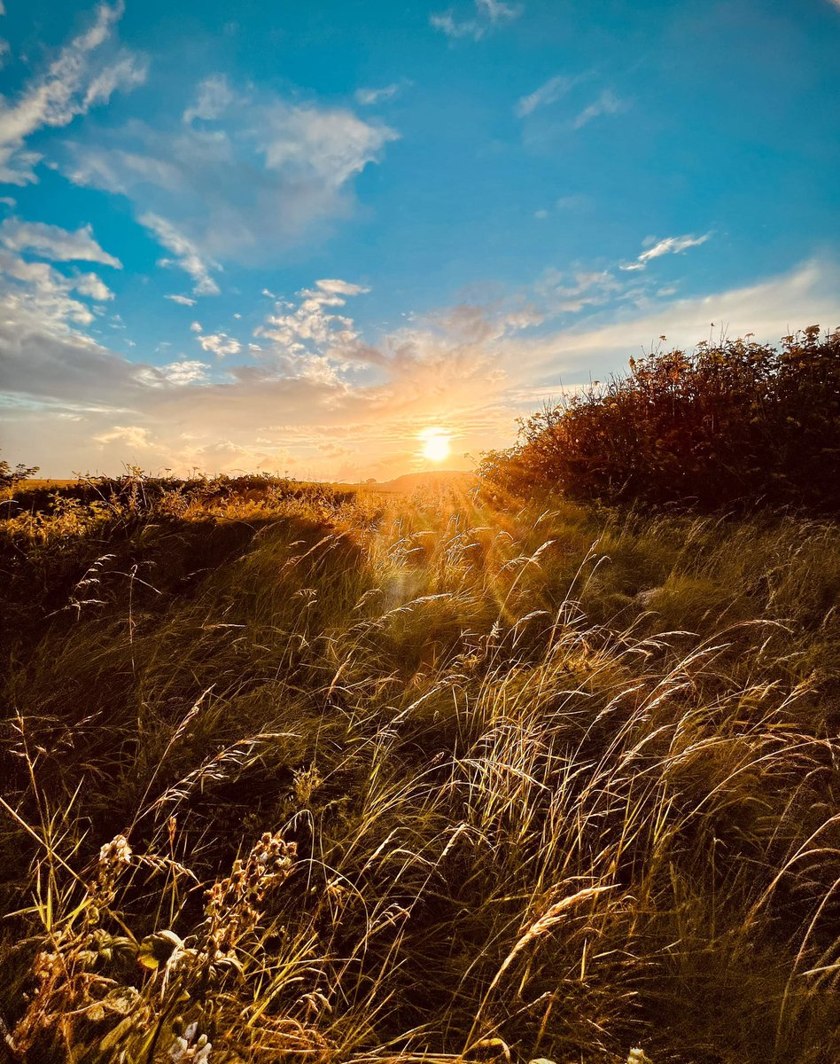 CecilTaise's tweet photo. Definitely getting autumn vibes 🍂
@RathlinPoet
#northernireland #ireland #belfast #discoverni #ni #photography #travel #northernirelandtourism #nature #visitbelfast #discoverireland #causewaycoast #niexplorer #ulster #visitni https://t.co/hgg8St7Ja7