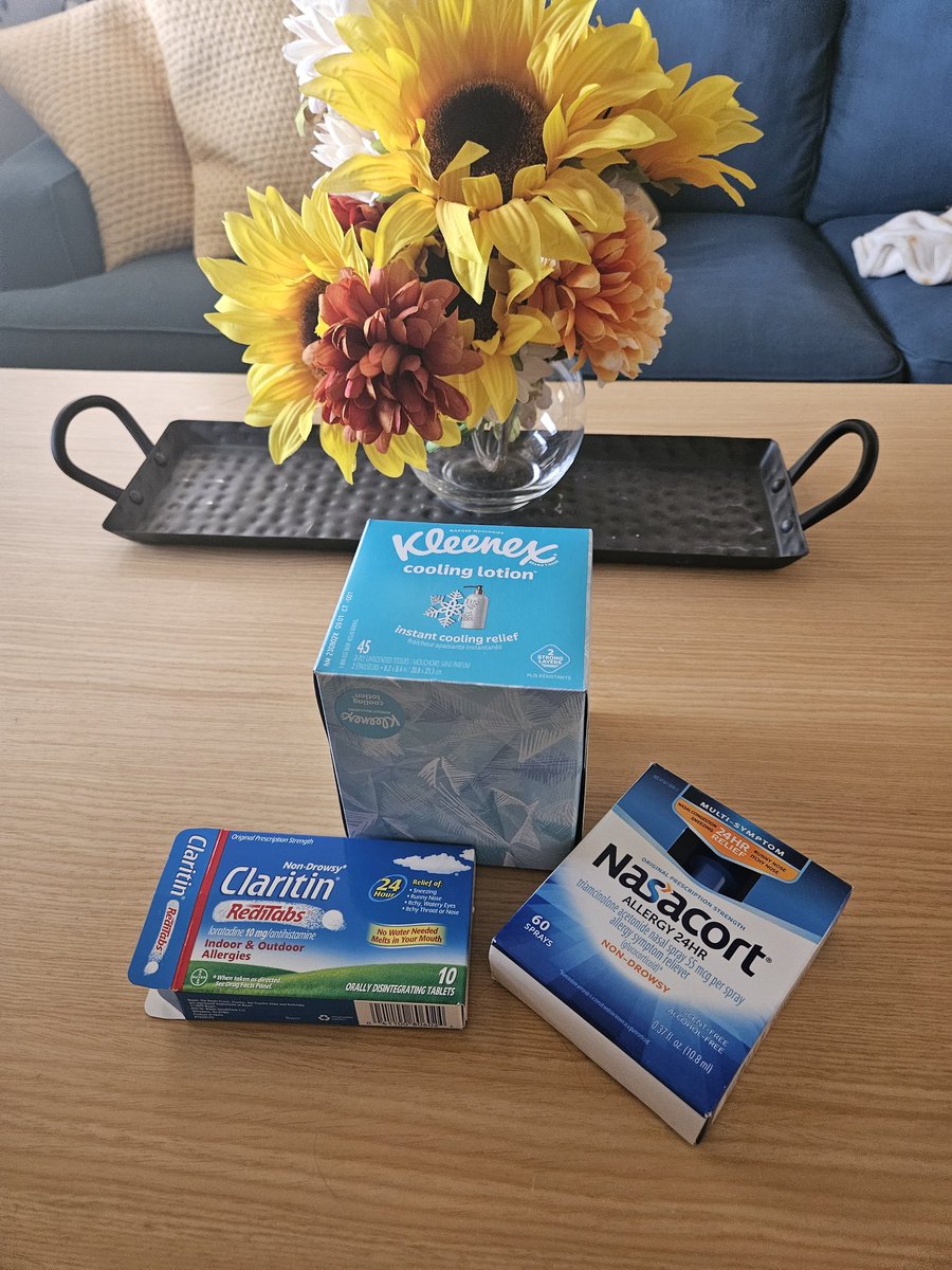 Stream tonight is pending on if all this works or not!! 

#AllergySeason