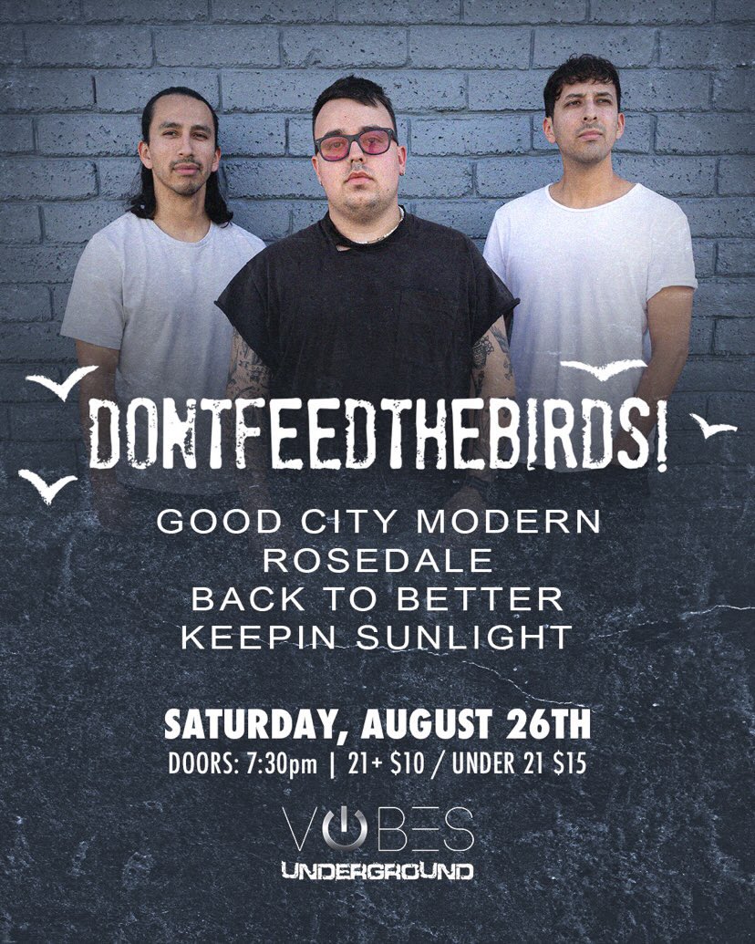 DONTFEEDTHEBIRDS! tweet media