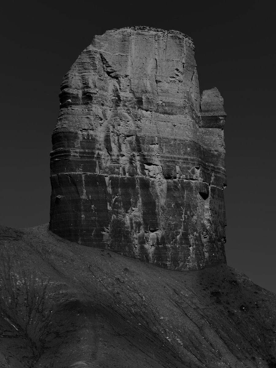 Aliens in Residence tweet media