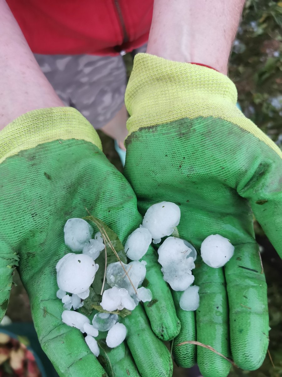 paniEMES's tweet image. szast-prast i po owocach...
#dwr