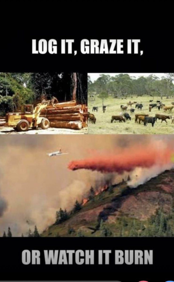 Something most liberals don’t get! But it’s the truth!