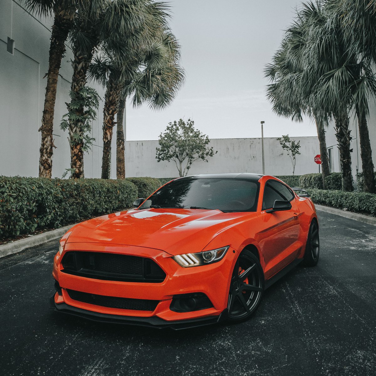 ViezuTech's tweet image. Elevate your supercar's performance with precision! Tailored tuning, dyno tested excellence, on-site upgrades. 🏎️ Book now: 📞 +44(0)1789 774444 🔗ecs.page.link/UhVq7 #SupercarTuning #CarRemapping #DynoPower #cars #cartuning #vehicletuning #tuning #remap