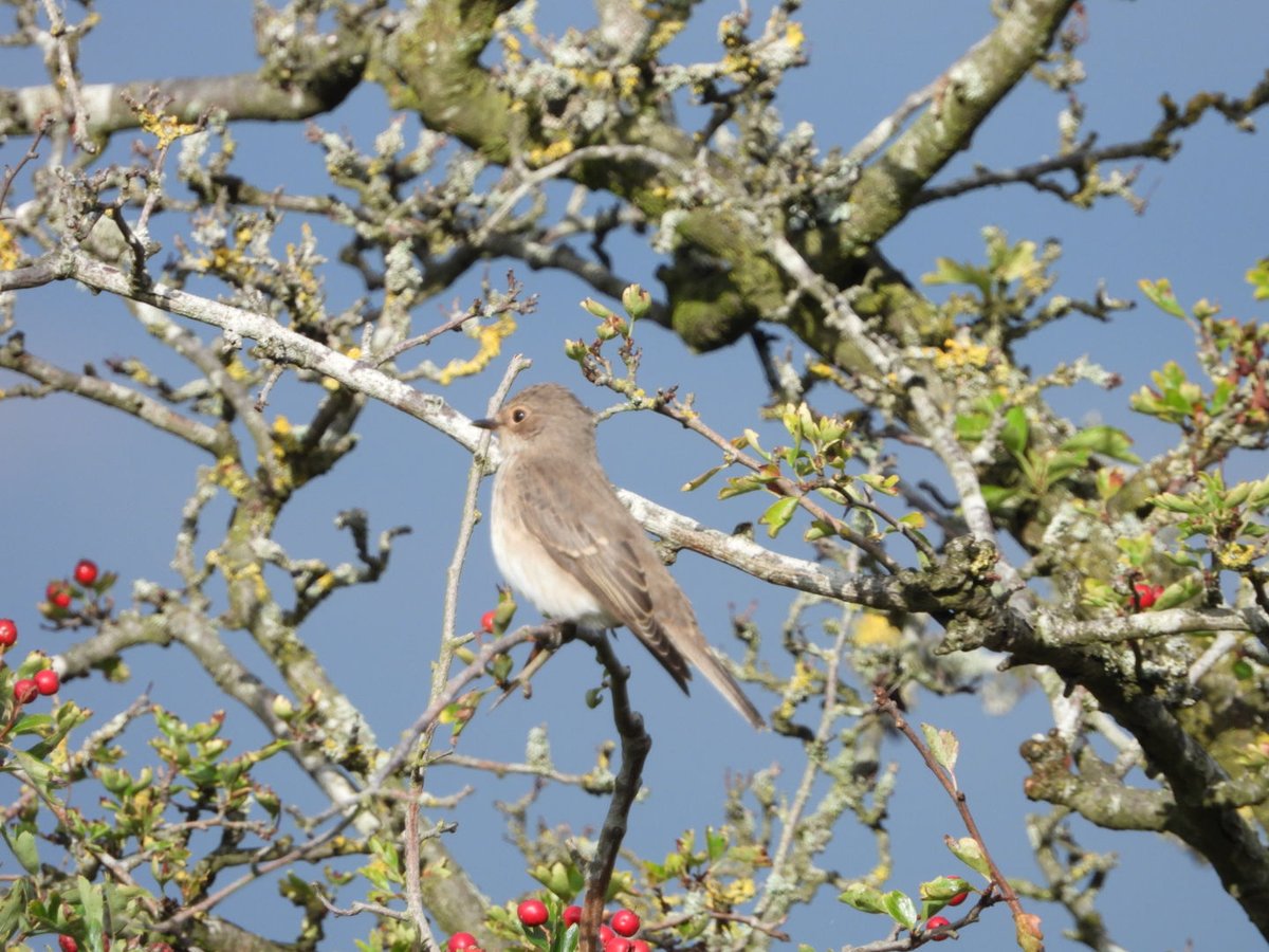 daleivor's tweet photo. #crofthill #spotfly https://t.co/AIzxG8WrZ8