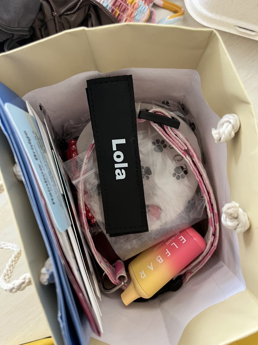 sr1raccha's tweet photo. my mom dropped off my dogs ashes today with a special treat in there for me https://t.co/nJfwUt2ash