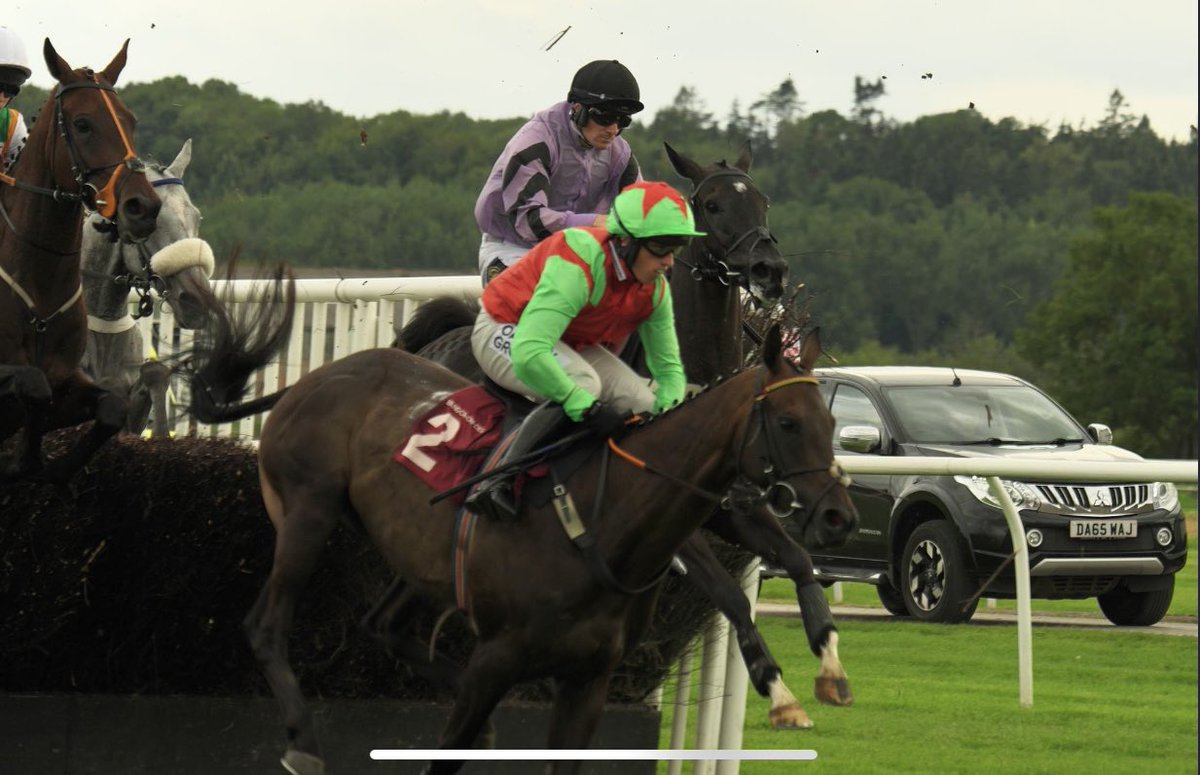 dave_pleavin's tweet photo. Wasn’t to be, but thanks for looking after him @samtwiston https://t.co/hWg14oNaRq