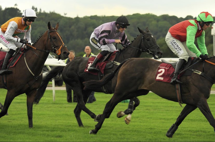 dave_pleavin's tweet photo. Wasn’t to be, but thanks for looking after him @samtwiston https://t.co/hWg14oNaRq