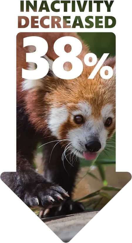 WDM Architects tweet media