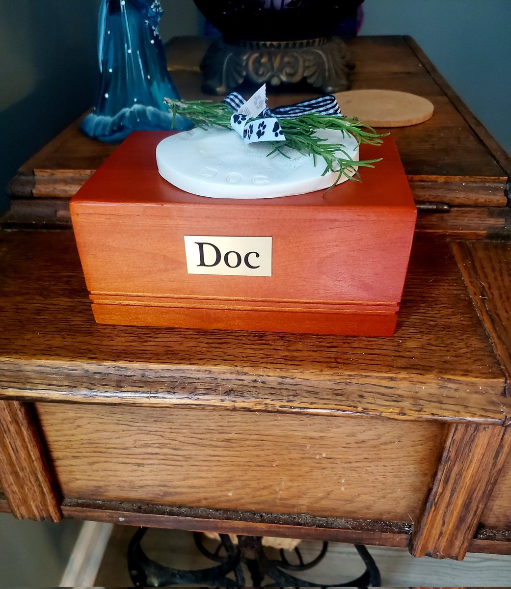 Doc🌈😇 & Luna's Mommy tweet media