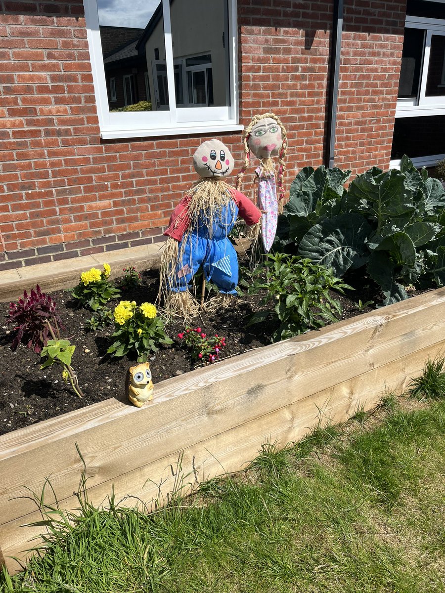 ot_millie's tweet photo. Our gardening project has been amazing this year! The patients have worked so hard and we have had a lot of fun 💚 #OT @TEWV https://t.co/OL367TNOeb