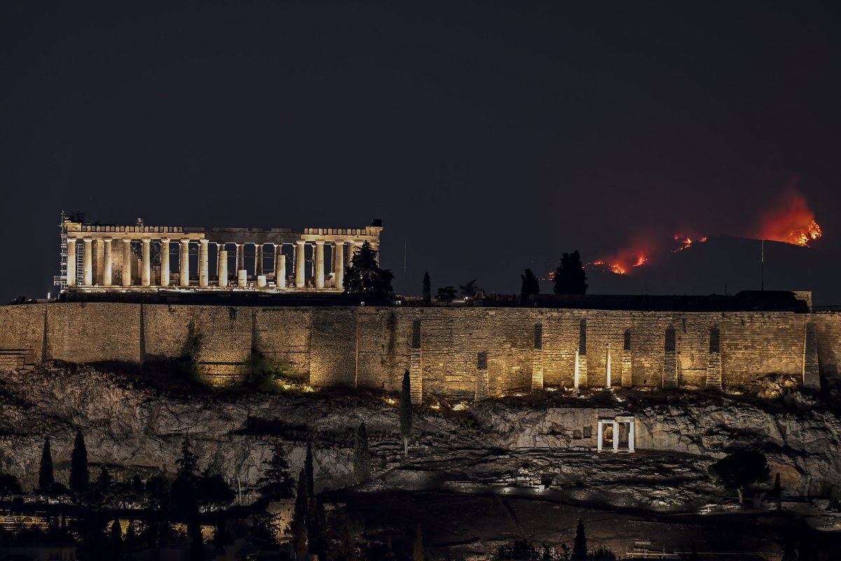 Wildlife in Athens. 
#φωτια #φωτιες #Φωτια_τωρα