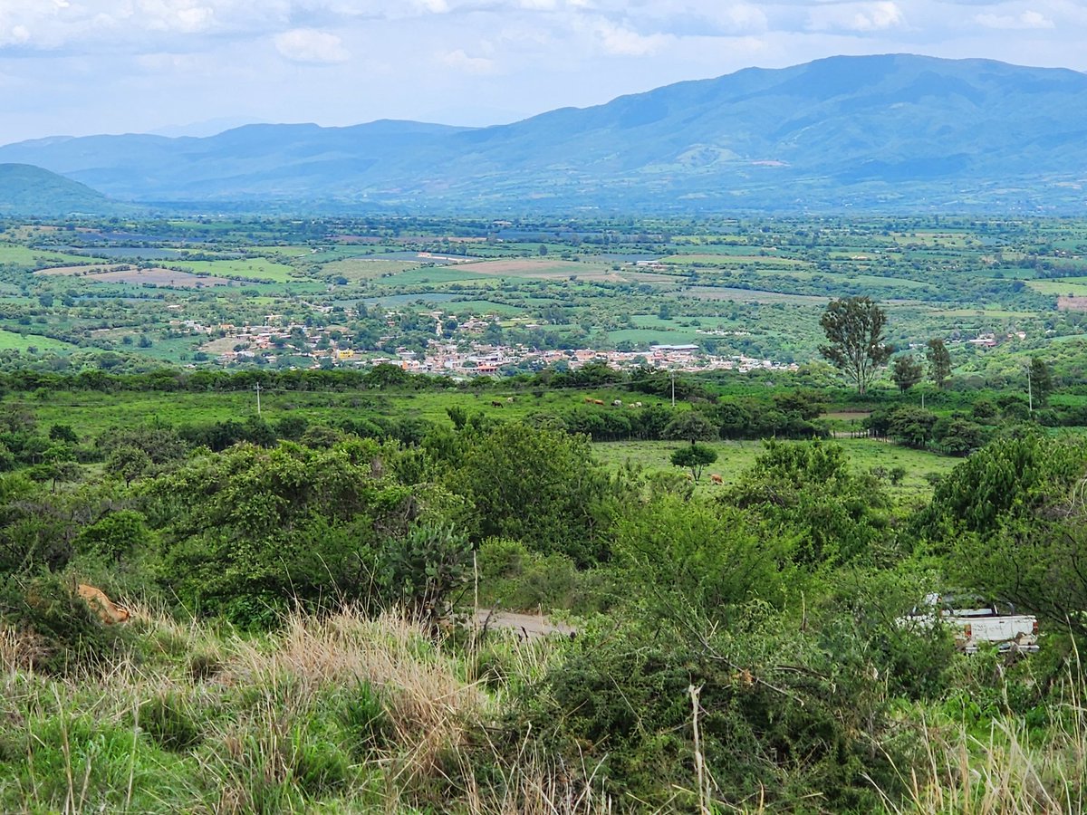 Valle de Ameca #Amecajal #jalisco