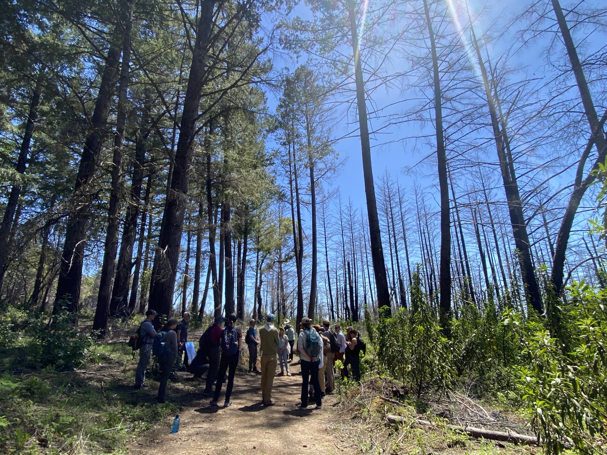 TOGETHER Bay Area tweet media