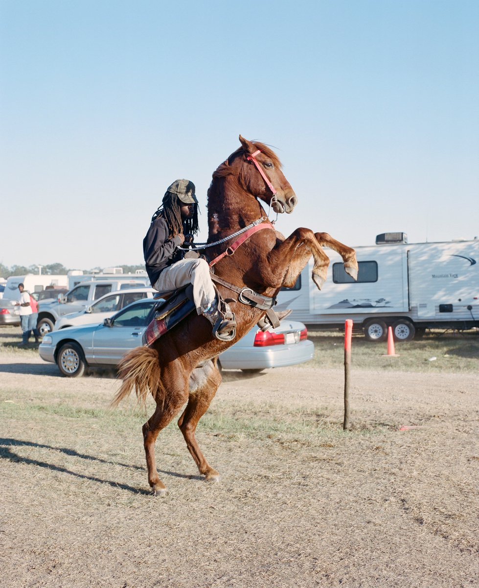 Aliens in Residence tweet media