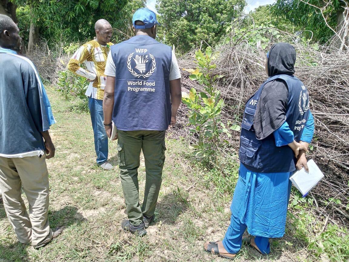 Mission de suivi des activités réalisées dans le cadre du #projetP2REF mise en œuvre par le consortium #AMEDD #Sahel_Eco parrainé par le #PAM. L’équipe s'est rendue dans le village #Doubaniana et #Zingolosso. #Impacts2023