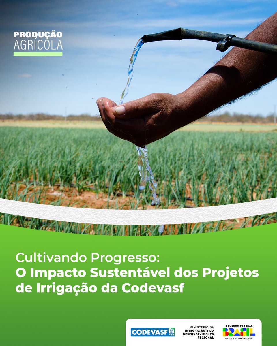 codevasf's tweet image. 💦🌱 #Codevasf transforma agricultura com #ProjetosPúblicosDeIrrigação e traz um futuro #Sustentável para mais de 16 mil famílias 🔗Entre no link e conheça os projetos: tinyurl.com/3af94jxf